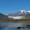 Trumpeter-Swans-at-Mendenhall-Lake-2