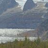 trumpeter-swans-at-Mendenhall-Lake-1
