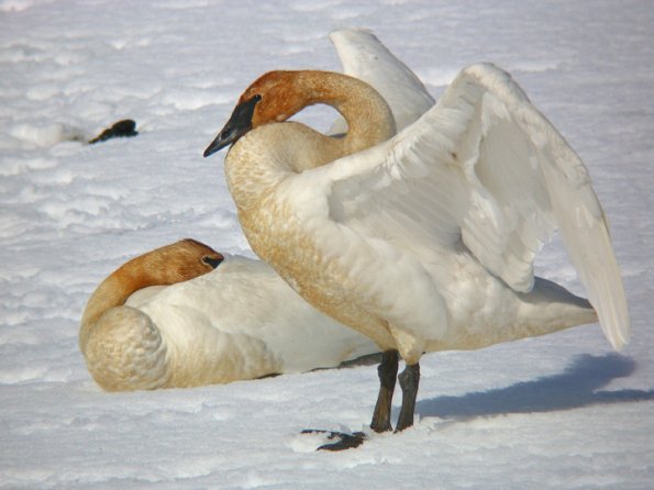 SAMSUNG DIGITAL CAMERA