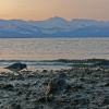 rock-sandpipers-and-chilkat-mountains