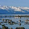 rock-sandpipers-eagle-beach-juneau