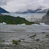 spotted-sandpiper-and-mendenhall-glacier