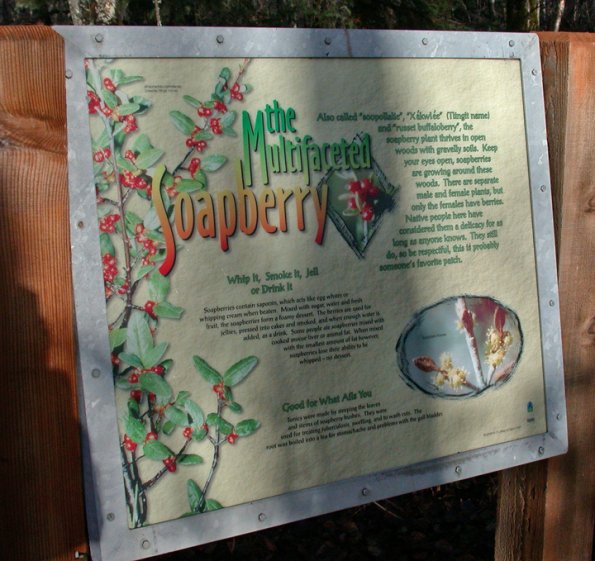 soap-berry-sign-haines