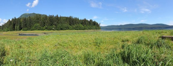 brown-bear-viewing-spot-at-pack-creek