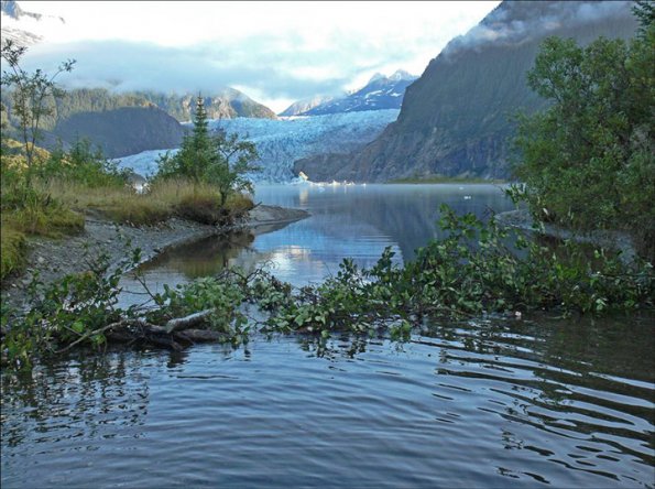 beaver-dam-beginning