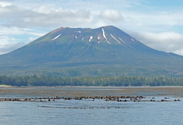 sea-otters-and-mt.-edgecumbe-2