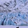 black-wolf-howling-and-mendenhall-glacier